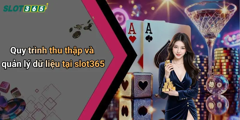 Quy trình thu thập và quản lý dữ liệu tại slot365