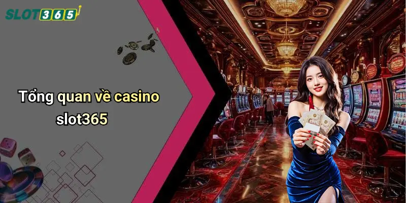 Tổng quan về casino slot365
