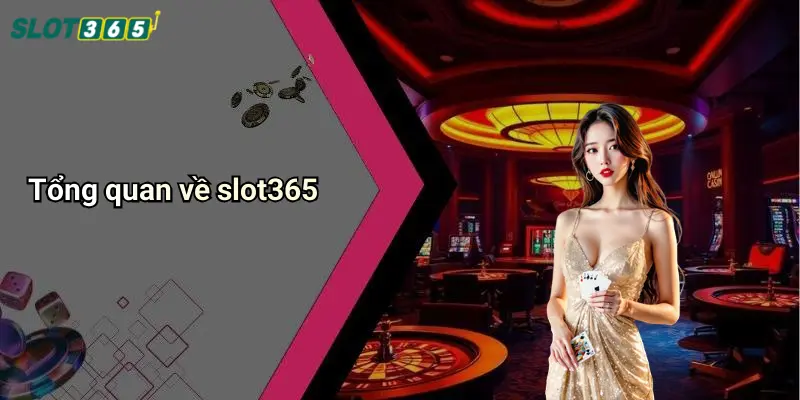 Tổng quan về slot365