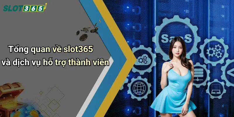 Tổng quan về slot365 và dịch vụ hỗ trợ thành viên